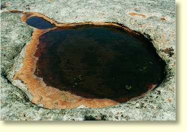 Shallow Rock Pans are filled with water for much of the year. Algae and other water plants can be found growing in them.